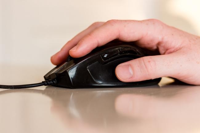 Hand on mouse. (Photo: Pellner/City of Heidelberg) Hand on mouse. (Photo: Pellner/City of Heidelberg)