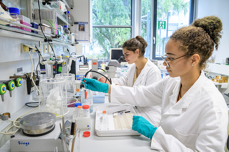 An ISH-student in a biology lab. (Photo: Dittmer)